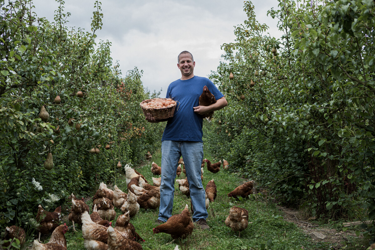 Demeter poultry Daniel Hoeberichts from Orchard Eggs in the UK